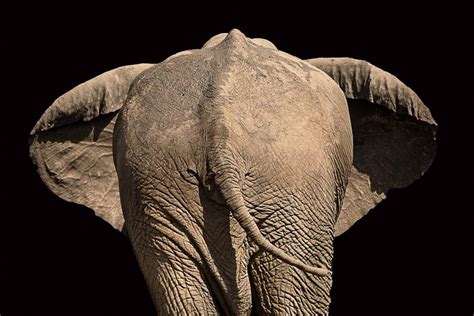 100 disturbing facts|14 Disturbing Facts You’ll Wish Weren’t Really True.